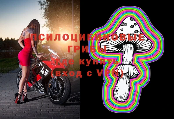 шишки Алзамай