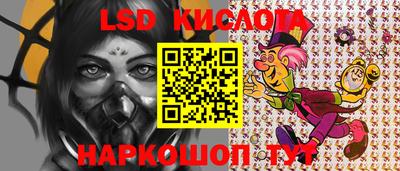 спайс Гатчина
