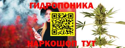 спайс Гатчина