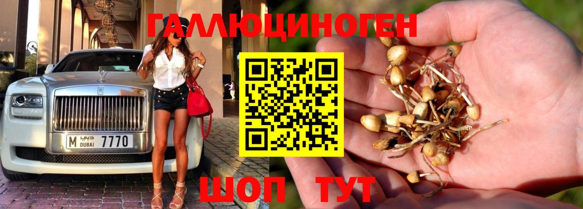 Псилоцибиновые грибы Magic Shrooms Нижнеудинск