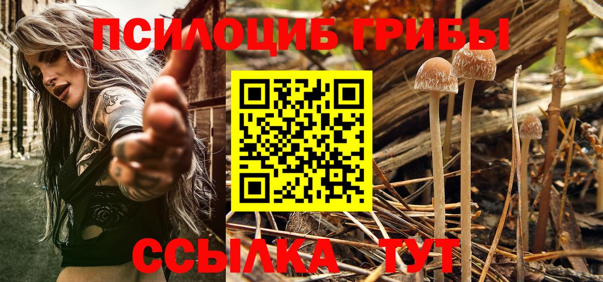 закладка  Вход с VPN  Нижнеудинск  Галлюциногенные грибы мицелий  Галлюциногенные грибы мицелий 